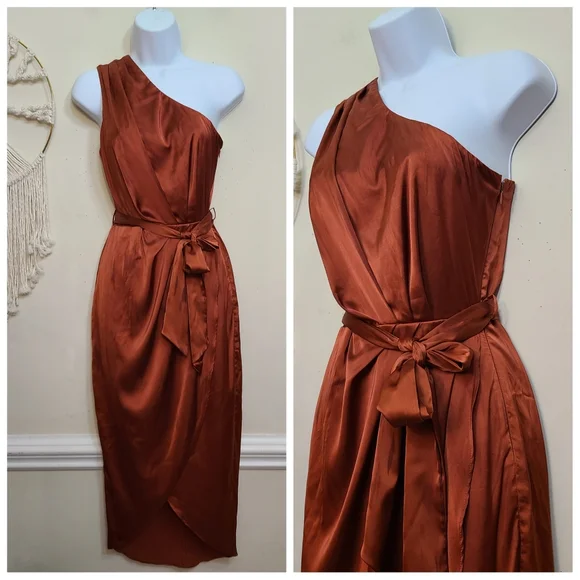 ☆ SOLD ☆ NEW Baltic Born Celia One-Shoulder Midi Dress In Rust - Picture 4 of 6